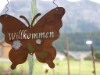 Bild 17