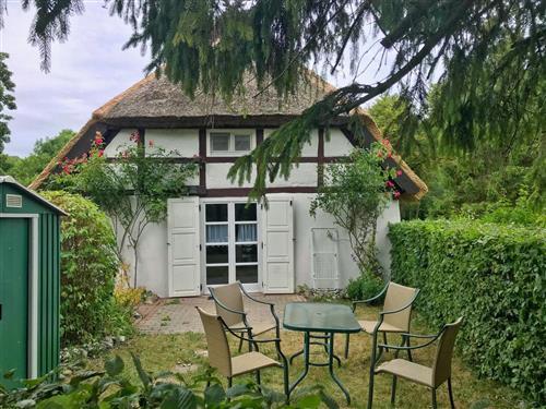Sommerhus - 4 personer -  - Kastanienallee - 18551 - Lohme Ot Nardevitz