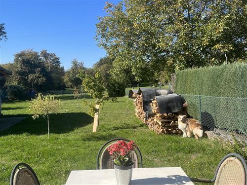 Ferieleilighet - 2 personer -  - Jakobusstraße - 66798 - Wallerfangen