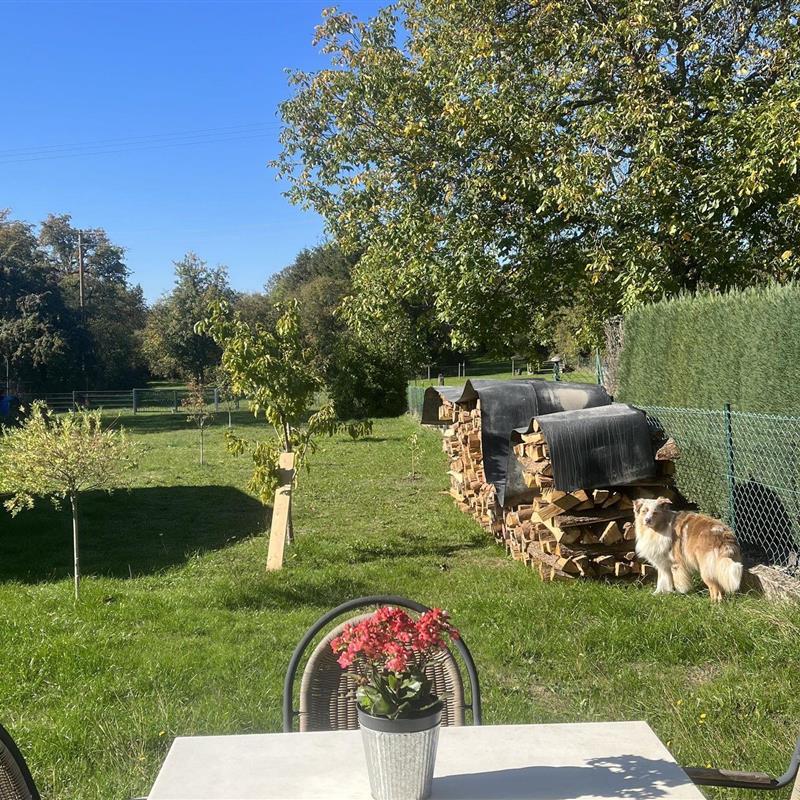 Ferielejlighed - 2 personer -  - Jakobusstraße - 66798 - Wallerfangen