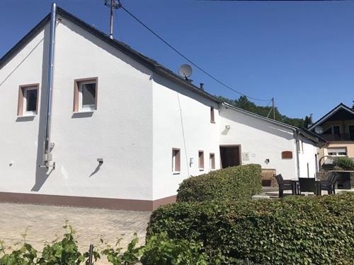 Feriehus - 10 personer -  - 54597 - Plütscheid