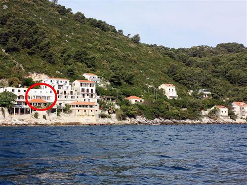 Holiday apartment - 4 persons -  - Sobra - 20225 - Babino Polje