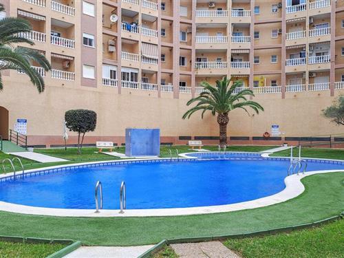 Ferielejlighed - 5 personer -  - C. Bilbao 19 Planta 2 puerta - Torrevieja, Alicante - 03181 - Torrevieja