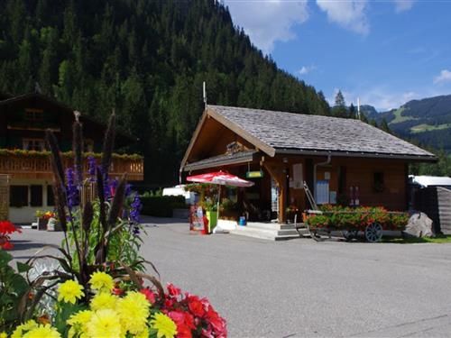 Ferienhaus - 4 Personen -  - 74390 - Chatel