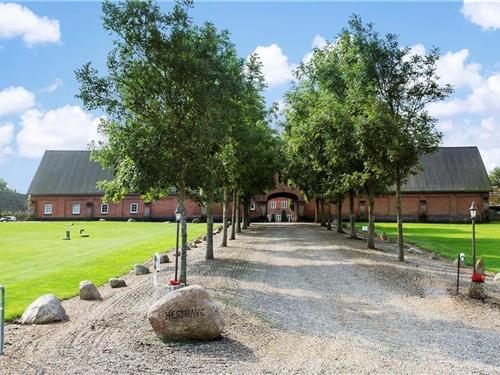 Sommerhus - 10 personer -  - Åbakken - Krejbjerg - 7860 - Spøttrup
