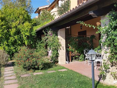 Holiday apartment - 3 persons -  - Castellina Marittima - 56040
