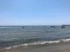 Billede 28