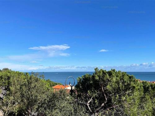 Holiday Home/Apartment - 2 persons -  - 66190 - Collioure