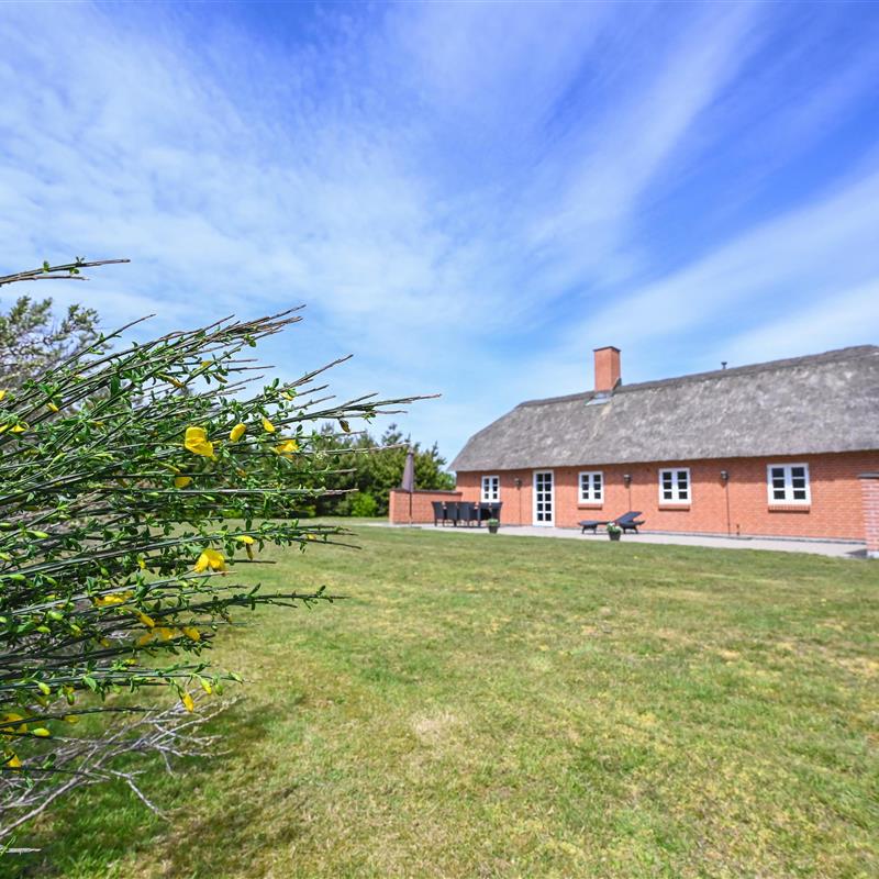 Sommerhus - 6 personer -  - Hummelmosevej - Vedersø Klit - 6990 - Ulfborg