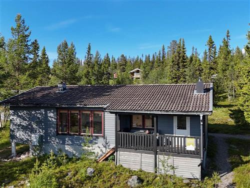 Ferienhaus - 5 Personen -  - Lofsdalen - 84296