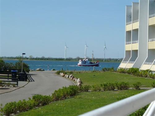 Ferieleilighet - 4 personer -  - Strandhaferweg - 23769 - Fehmarn