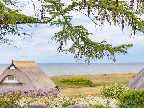 Sommerhus - 2 personer -  - Karl-Bartoschek-Weg - 18347 - Ostseebad Ahrenshoop