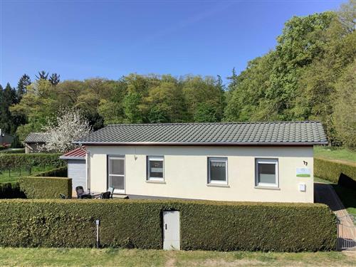 Feriehus - 6 personer -  - Am Waldeck - 17159 - Dargun