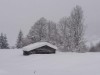 Bild 17