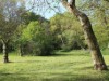 Billede 3