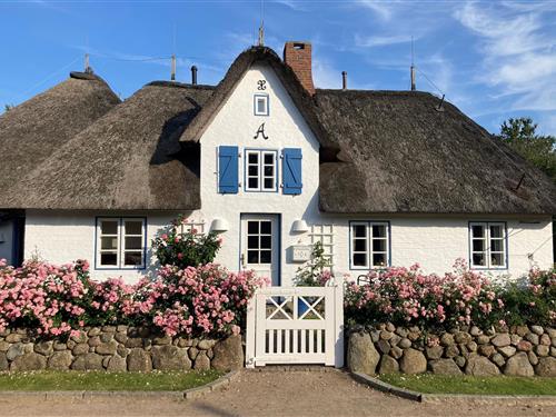 Sommerhus - 4 personer -  - Buurnstrat - 25938 - Oevenum