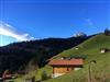 Bilde 7