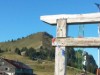 Billede 23