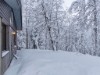 Bild 16 - Inde