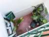 Bild 17