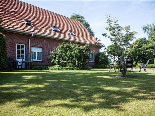Holiday apartment - 8 persons -  - 2990 - Loenhout