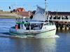 Billede 11