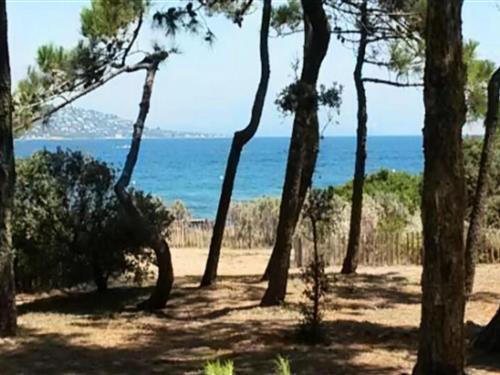 Holiday Home/Apartment - 4 persons -  - 83120 - Sainte-Maxime