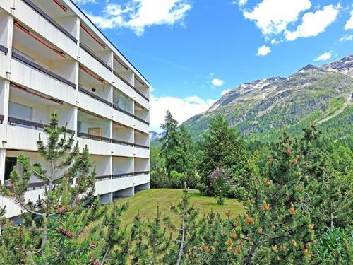 Ferieleilighet - 4 personer -  - Via Gunels - 7512 - Champfèr