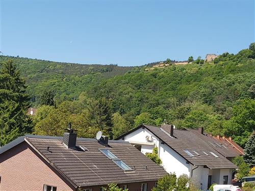 Ferieleilighet - 2 personer -  - Haagweg - 67433 - Neustadt An Der Weinstraß