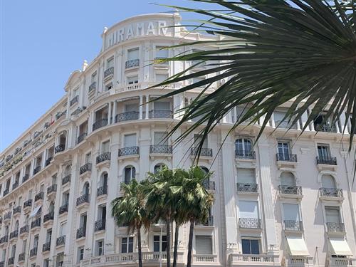 Holiday Home/Apartment - 3 persons -  - 65, Boulevard de la Croisette - 06400 - Cannes