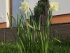 Bild 16