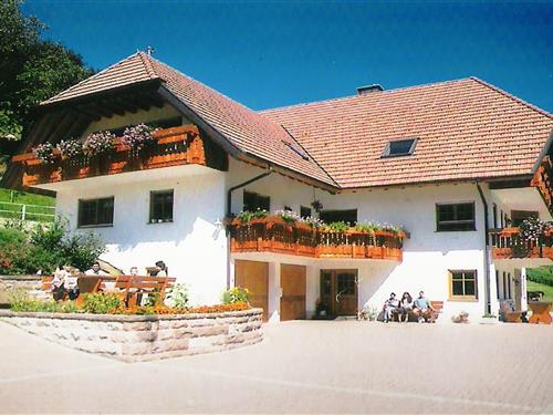 Ferieleilighet - 3 personer -  - 77716 - Hofstetten