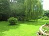 Bilde 8