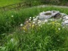 Image 19 - Outside