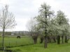 Bild 20
