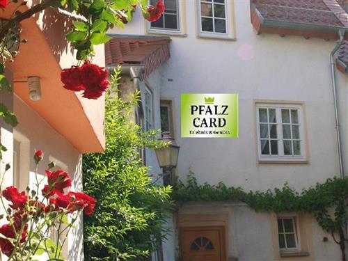 Ferielejlighed - 2 personer -  - Herrenstraße - 67251 - Freinsheim