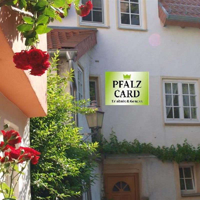 Ferielejlighed - 2 personer -  - Herrenstraße - 67251 - Freinsheim