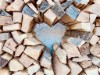 Bilde 9 - Ude