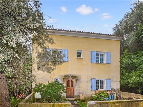 Holiday home - 12 persons -  - Stretta  di l'amanduli - 20232 - Oletta