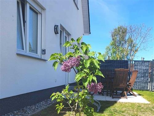 Ferielejlighed - 2 personer -  - Aufbauweg - 17459 - Ückeritz