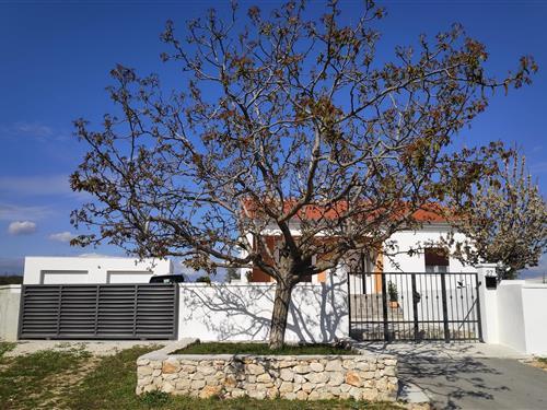 Holiday Home/Apartment - 6 persons -  - Bulic - 23420 - Bulic