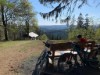 Billede 49