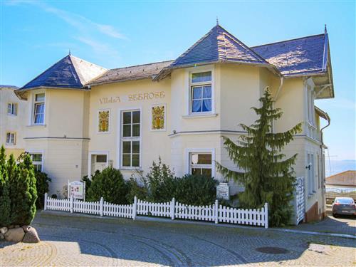 Ferienhaus - 4 Personen -  - Ringstraße - 18546 - Sassnitz