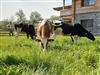 Image 13 - Outside