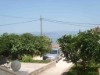 Bilde 7