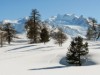 Bilde 35