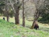 Bilde 29