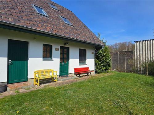 Semesterlägenhet - 4 personer -  - Ribnitzer Str. - 18181 - Graal-Müritz