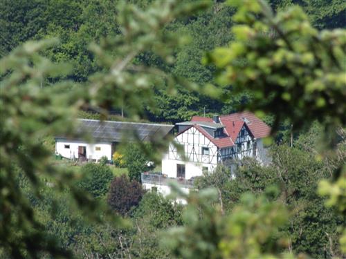 Holiday Home/Apartment - 4 persons -  - Gasbitze - 56588 - Waldbreitbach