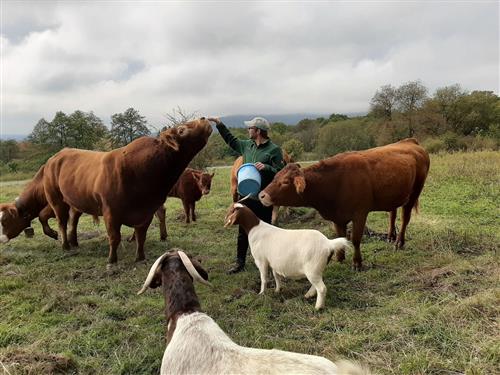 Ferielejlighed - 4 personer -  - Kreuzbergstraße - 97657 - Sandberg